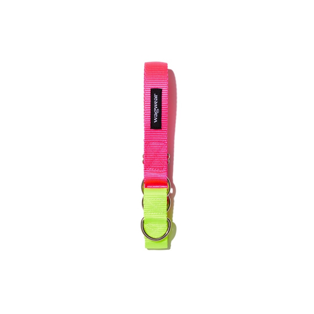 Neon Pink/Yellow Dog Collar by Wagwear - medium